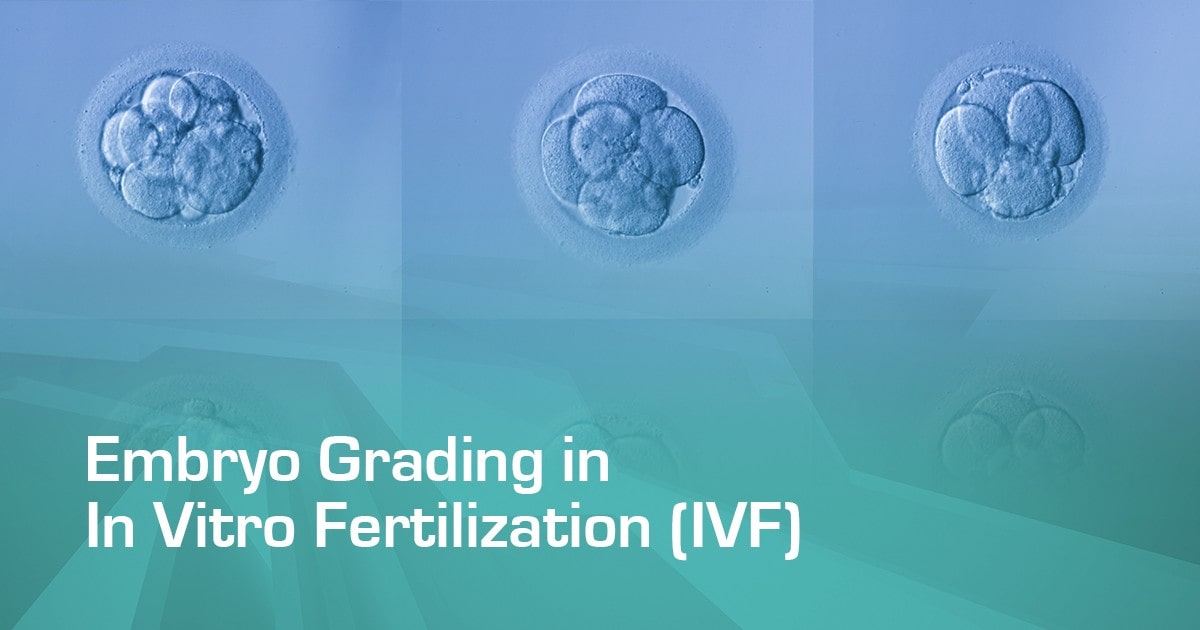 Embryo Grading in In Vitro Fertilization (IVF)